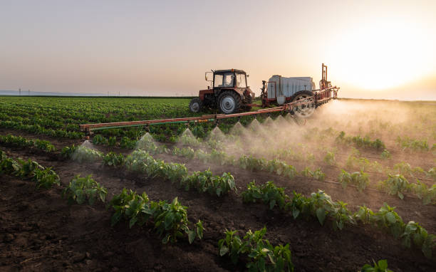 Best Pest Prevention Services  in Tremonton, UT