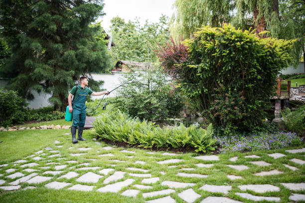 Best Wasp Removal Services  in Tremonton, UT