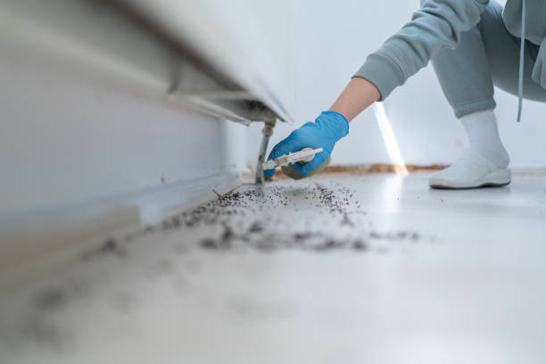 Pest Prevention Services in Tremonton, UT