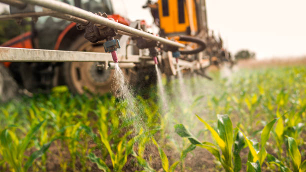 Trusted Tremonton, UT Pest Control Experts